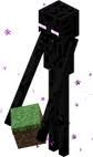 enderman